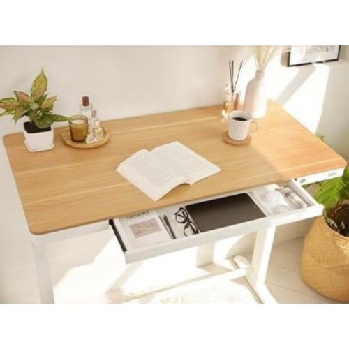 Loctek All in One Standing Desk With 2 USB A 1 USB C Charging